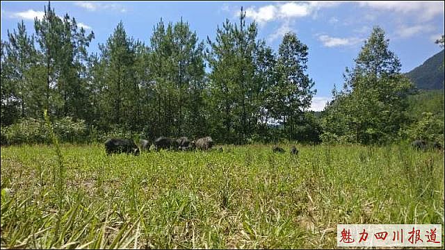 点击新窗口打开