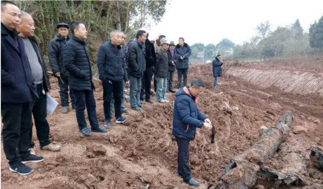 点击新窗口打开