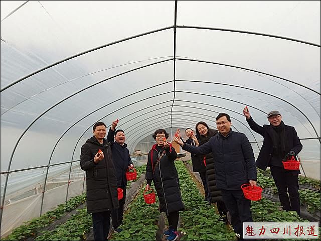 点击新窗口打开