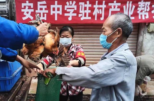 点击新窗口打开