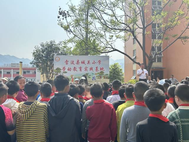 雷波县城关小学锦屏校区开展春季劳动实践活动  ​