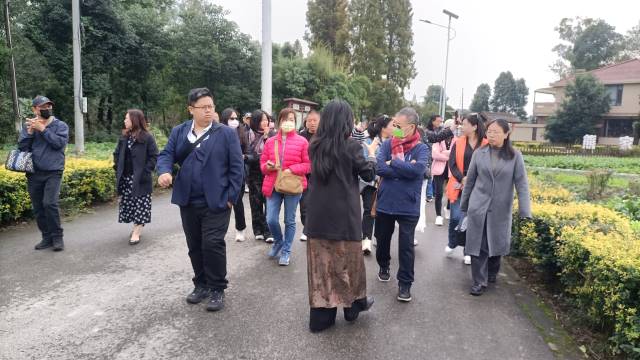 点击新窗口打开