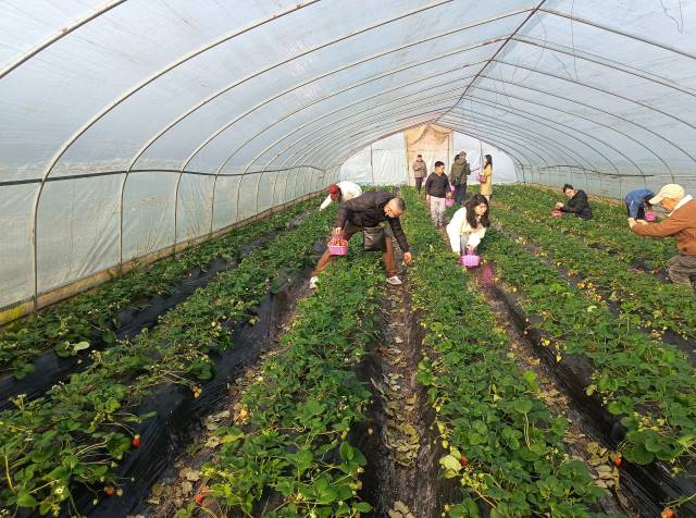 点击新窗口打开