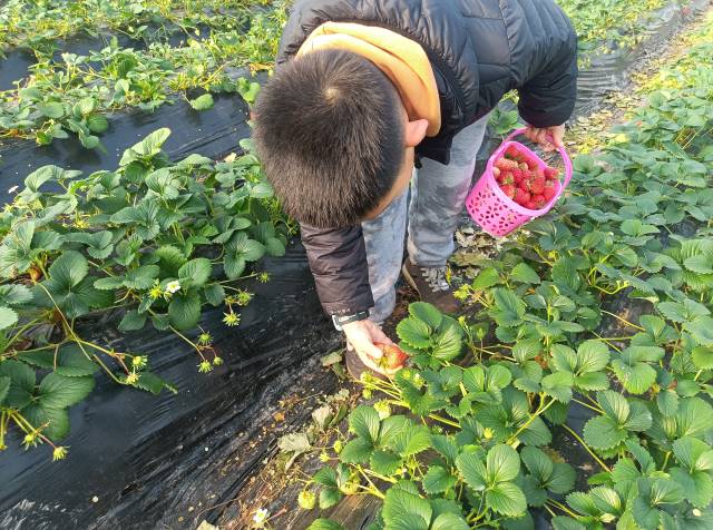 点击新窗口打开