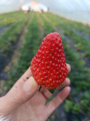 点击新窗口打开