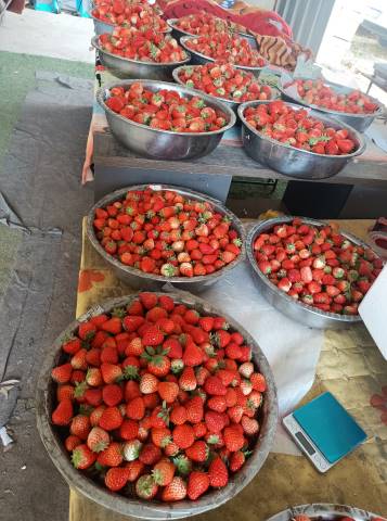 点击新窗口打开