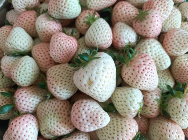 点击新窗口打开